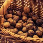 Reddybook Review: Transforming Digital Learning with Cutting‑Edge Tools and Laser247 Integration